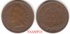 1904 1c Indian Head Penny, Indian head cent